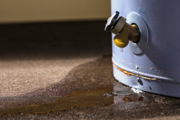 Best Flood restoration services  in Danvle, IL
