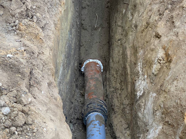 Best Sewage cleanup and water damage restoration  in Danvle, IL