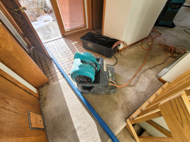 Best 24/7 water damage repair  in Danvle, IL
