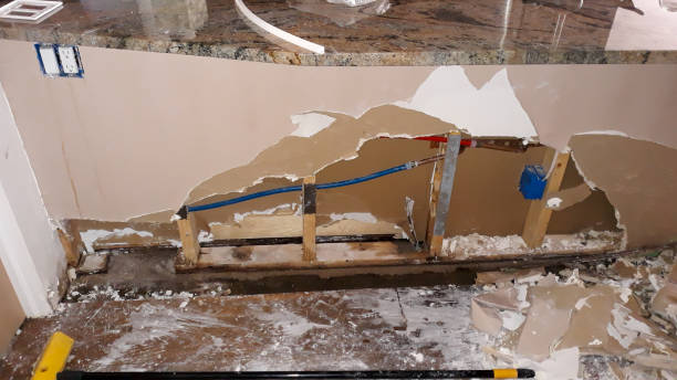 Best Water damage restoration near me  in Danvle, IL