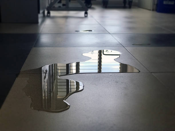 Best Water damage restoration near me  in Danvle, IL
