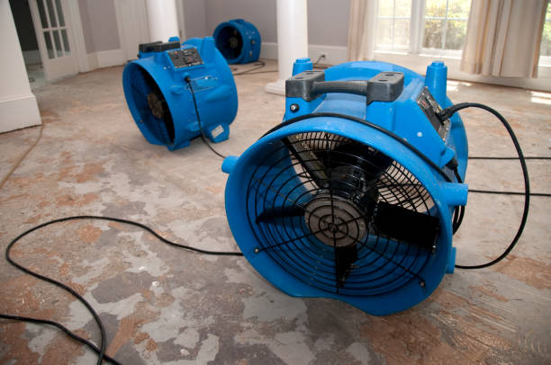 Best Mold removal after water damage  in Danvle, IL