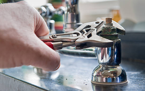 Best Flooded house restoration  in Danvle, IL