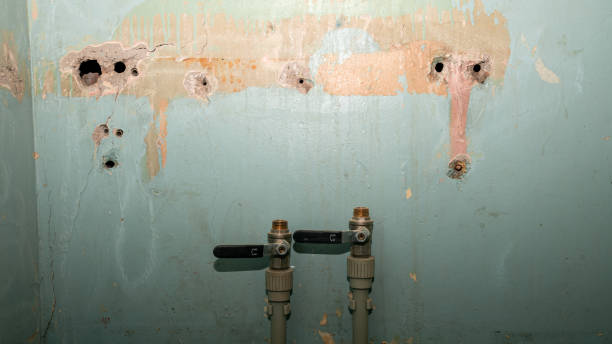 Best Water damage mitigation services  in Danvle, IL