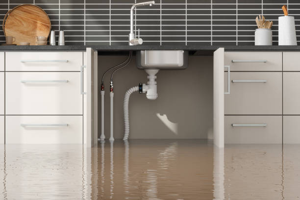 Best Water damage cleanup near me  in Danvle, IL