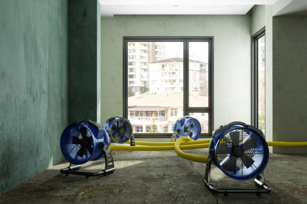 Best 24-hour water damage restoration  in Danvle, IL