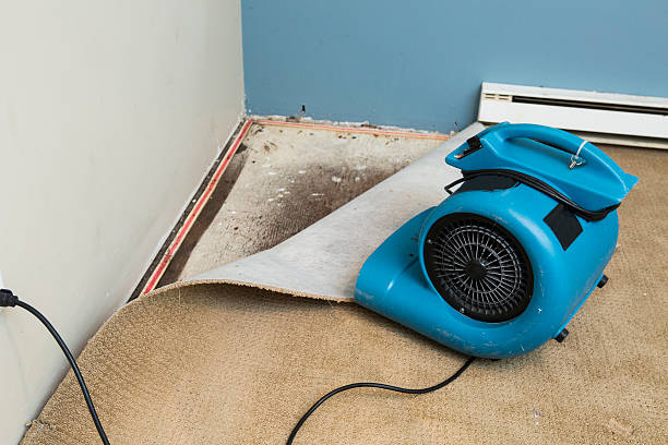 Best 24/7 water damage repair  in Danvle, IL